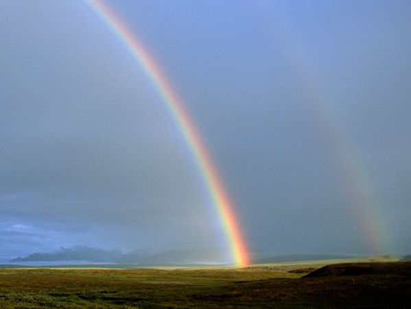 tundra-rainbow